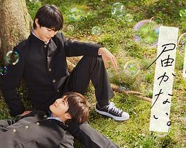 恩娇完整版海报剧照